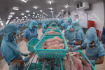 Vietnam moves to widely popularise tra, basa fish in Australia