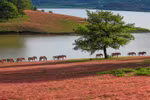 Tourism sector recovers at year’s end