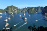 Ha Long Bay: A journey into natural grandeur