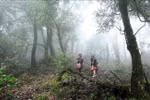 Lai Chau developing tourism associated with forest protection