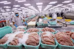 Vietnam invests over 450 million USD overseas in 10 months