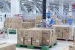 11-month FDI disbursement hits record high