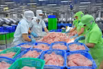China begins large purchase of Vietnamese tra fish