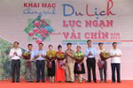 Bac Giang kick starts tourism promotion programme in lychee harvest season