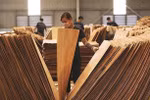 US extends duties investigation into plywood from Vietnam