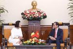 Minister of Foreign Affairs receives Belgian Senate President