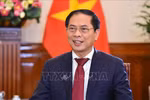 Foreign ministry sets economic diplomacy focuses for 2023