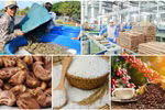 Agro-forestry-aquatic products post trade surplus of 4.63 billion USD in H1
