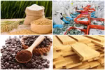 Agro-forestry-aquatic product exports to rebound in H2