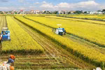 Public private partnership task force on rice established