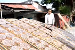 Ba Ria-Vung Tau: Traditional craft villages buzzing ahead of Tet