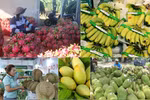 AgroViet 2023 to promote Vietnamese, foreign agricultural products 