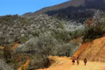 Son La holds potential to be world's top natural destination