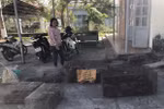 Woman caught red-handed trading, possessing wild animals