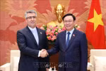 Top Vietnamese legislator’s visit to Iran to help expand bilateral ties: diplomat