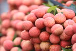 Vietnam’s first official-channel lychee shipment arrives in UK