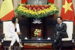 Vietnam keen on further promoting ties with Belgium: President