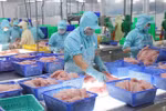 EVFTA opens door wider for Vietnamese goods to EU