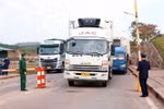 Quang Ninh: Cross-border trading with China resumed after Tet