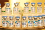 Vietnam’s African swine fever vaccine export makes headlines in RoK