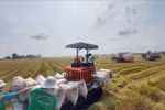 Vietnam exports 1.7 million tonnes of rice in Q1