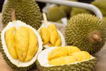 UK a potential market for Vietnamese durian: insiders