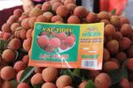 Bac Giang to export lychee via Kep railway station