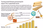 Turning wood-forestry processing for export into a spearhead sector