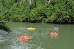 Vietnam named 11th best place for expats: survey