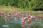 Ninh Binh strives to build Trang An as center of “Millennium Heritage city” 