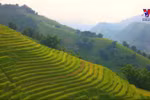 Foreign magazine marvel at enchanting palette of Sa Pa’s autumn