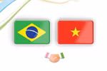Vietnam - Brazil Comprehensive Partnership