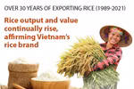 Vietnam elevates rice brand on global market