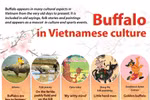 Buffalo in Vietnamese culture
