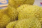 Fruit and vegetable exporters gear up for year-end