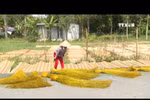 Preserving traditional craft villages to lure tourists