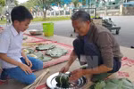Experiencing traditional Tet at Imperial Citadel 