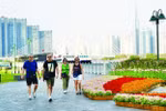 Bookings for Tet tours on the rise