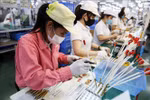 Red River Delta’s industrial parks lures 390 FDI projects in 2023
