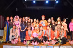 Vietnam attends francophone cultural festival in France