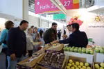 Vietnamese fruits promoted in Berlin exhibition