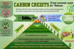 "Unlocking" carbon credit market for Vietnam