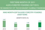 Agro-forestry-fisheries - the mainstay of the economy