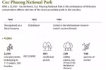 Cuc Phuong National Park