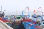 Fishing regulations promoted among Ha Tinh fishermen