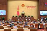 Voters highly value National Assembly’s 14th tenure