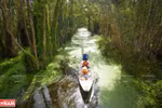 Great potential for tourism development in Long An province