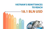 Vietnam’s remittances to reach 18.1 bln USD 