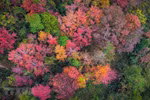 Colourful winter in mountainous province