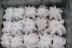 RoK - Vietnam’s leading squid, octopus importer